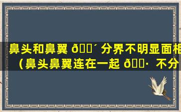 鼻头和鼻翼 🌴 分界不明显面相（鼻头鼻翼连在一起 🕷  不分明怎么办）